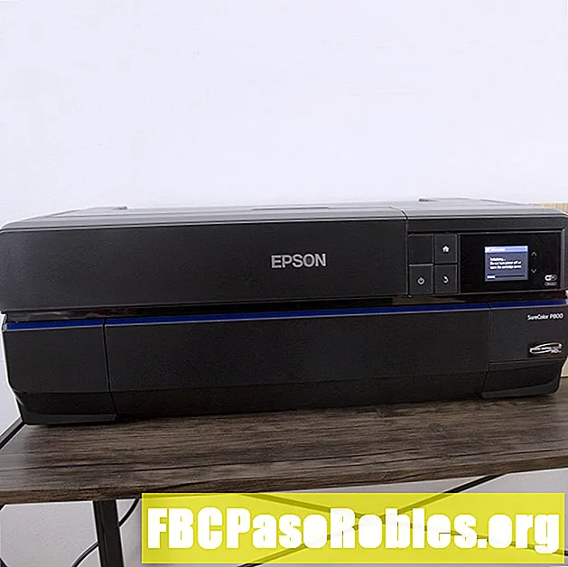 Epson SureColor P800 anmeldelse