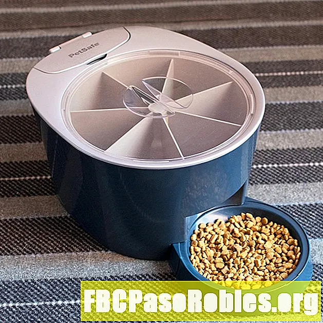 PetSafe Six Meal Automatic Pet Feeder Review