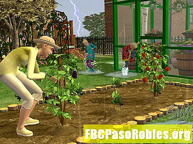 Kaj je vrtni klub v The Sims 2?