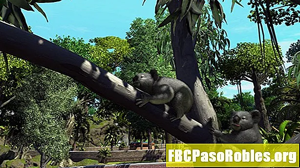 Zoo Tycoon Cheat Codes til PC