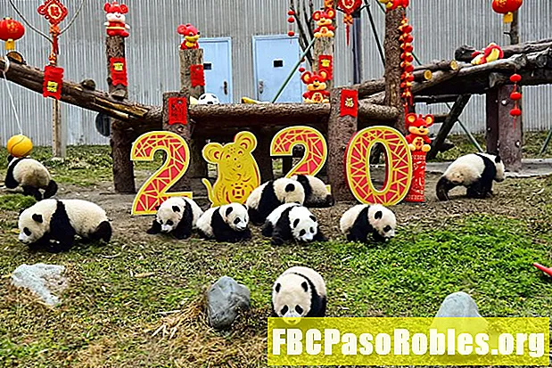 14 лучших китайских новогодних открыток для 2020 года