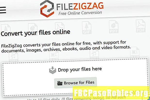 FileZigZag ülevaade