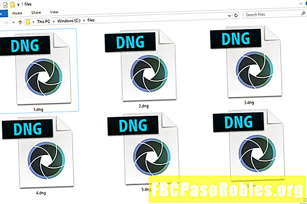 ایک DNG فائل کیا ہے؟